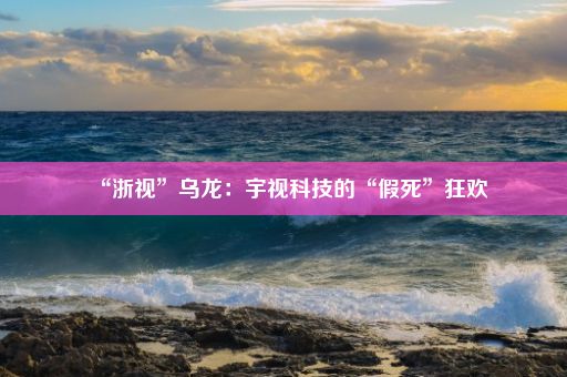 “浙视”乌龙：宇视科技的“假死”狂欢