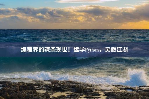 编程界的辣条现世！猛学Python，笑傲江湖