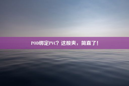 POD绑定PVC？这酸爽，简直了！