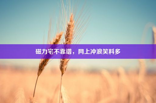 磁力宅不靠谱，网上冲浪笑料多