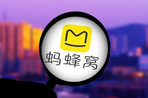 蜂巢专线版官网入口：自嘲中的幽默与反思