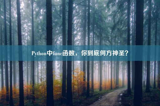 Python中func函数，你到底何方神圣？