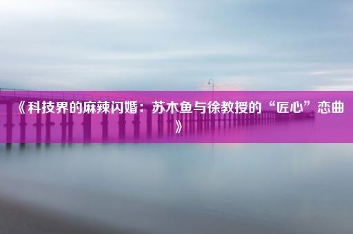 《科技界的麻辣闪婚：苏木鱼与徐教授的“匠心”恋曲》