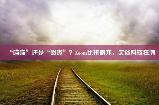 “喵喵”还是“嗷嗷”？Zoom比拼萌宠，笑谈科技狂潮