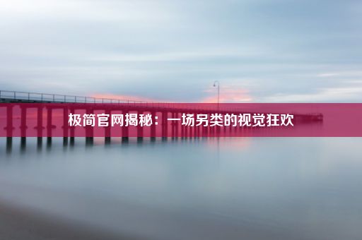 极简官网揭秘：一场另类的视觉狂欢