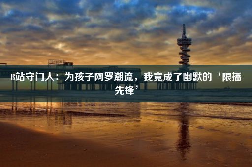 B站守门人：为孩子网罗潮流，我竟成了幽默的‘限播先锋’