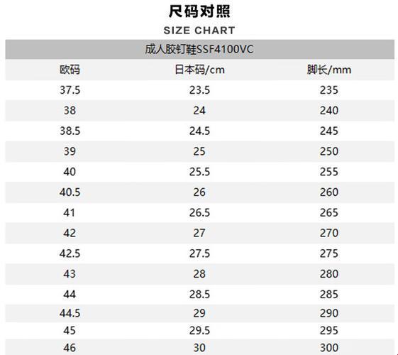 "日本尺码"专线美国，笑谈未来创新力