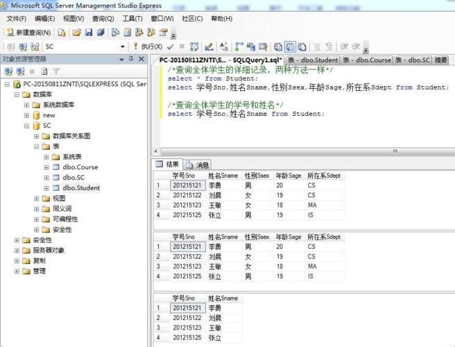 “窥视秘密”：SQL语句下的数据表探秘