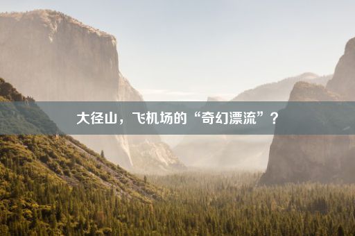 大径山，飞机场的“奇幻漂流”？