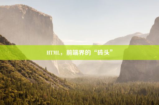 HTML，前端界的“砖头”