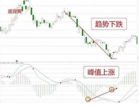 “MACD”引发科技界狂潮，来看喷子式幽默解读！