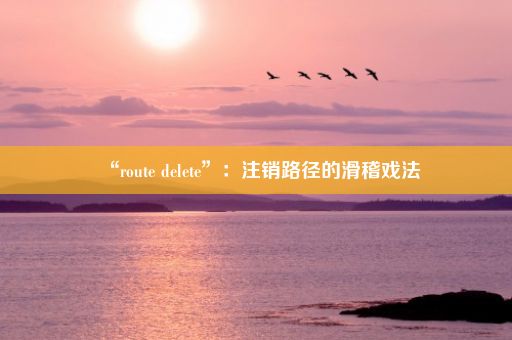 “route delete”：注销路径的滑稽戏法