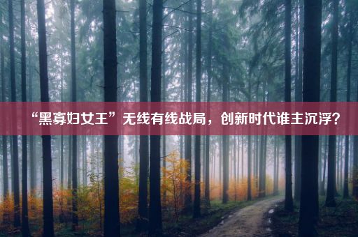 “黑寡妇女王”无线有线战局，创新时代谁主沉浮？