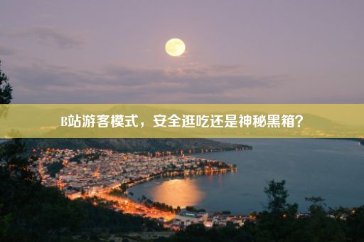 B站游客模式，安全逛吃还是神秘黑箱？