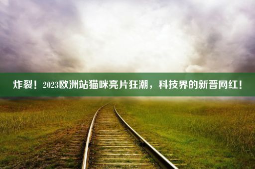 炸裂！2023欧洲站猫咪亮片狂潮，科技界的新晋网红！