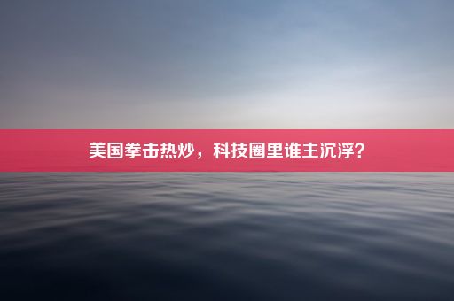 美国拳击热炒，科技圈里谁主沉浮？