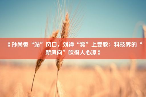 《孙尚香“站”风口，刘禅“凳”上受教：科技界的“新风向”吹得人心凉》