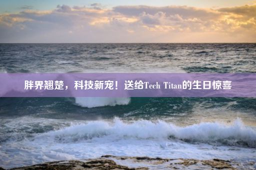 胖界翘楚，科技新宠！送给Tech Titan的生日惊喜