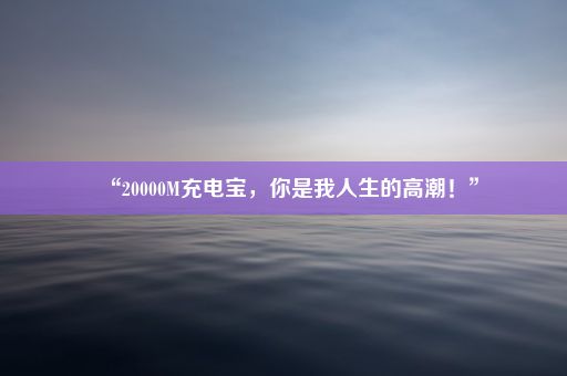 “20000M充电宝，你是我人生的高潮！”