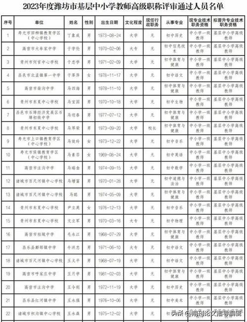 2024年潍坊职称评审“奇观”：笑谈“人才”的起伏沉沦