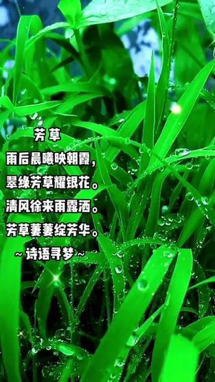 离离原上草，一岁一枯荣