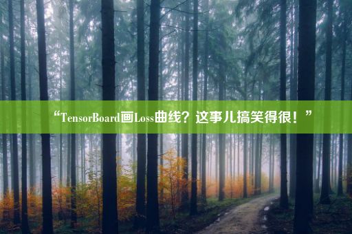 “TensorBoard画Loss曲线？这事儿搞笑得很！”