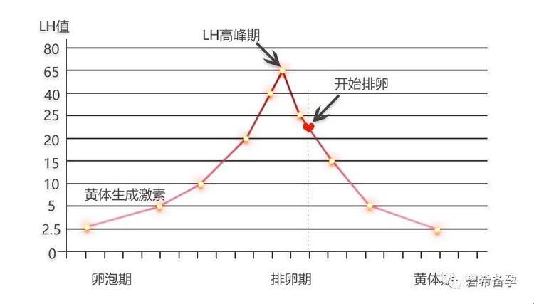 高能粒子碰撞，掀起科技狂潮：一场lH1对多的跨界演绎