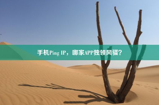 手机Ping IP，哪家APP独领风骚？