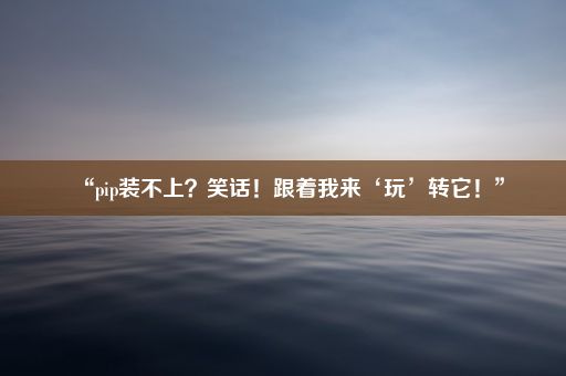 “pip装不上？笑话！跟着我来‘玩’转它！”