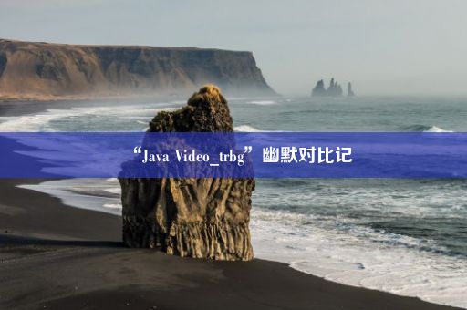 “Java Video_trbg”幽默对比记