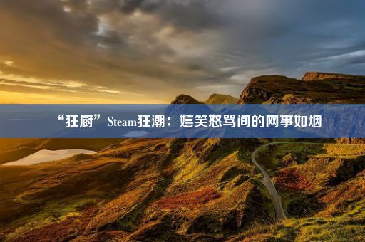 “狂厨”Steam狂潮：嬉笑怒骂间的网事如烟