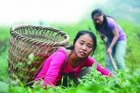 "耕芯":科技圈里的“萌娃”养成记