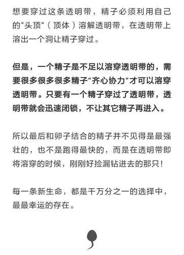 "流转新语，潮头我舞：科技界的段子手开启未来大门"