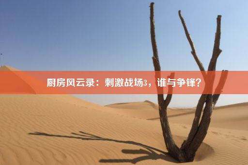 厨房风云录：刺激战场3，谁与争锋？