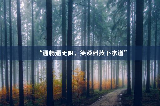 “通畅通无阻，笑谈科技下水道”