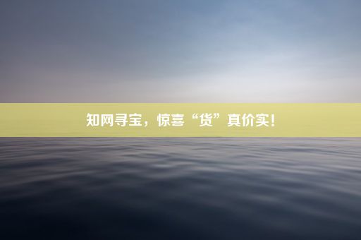 知网寻宝，惊喜“货”真价实！