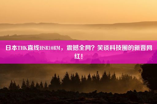 日本THK直线HSR10RM，震撼全网？笑谈科技圈的新晋网红！