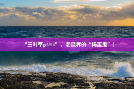 “三叶草gy6914”，潮流界的“捣蛋鬼”！