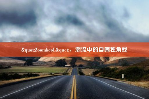 "ZoomkooL"，潮流中的自嘲独角戏