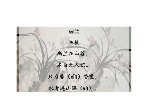 《幽草丛中，网事如烟：笑侃“键盘侠”的侠骨柔情》