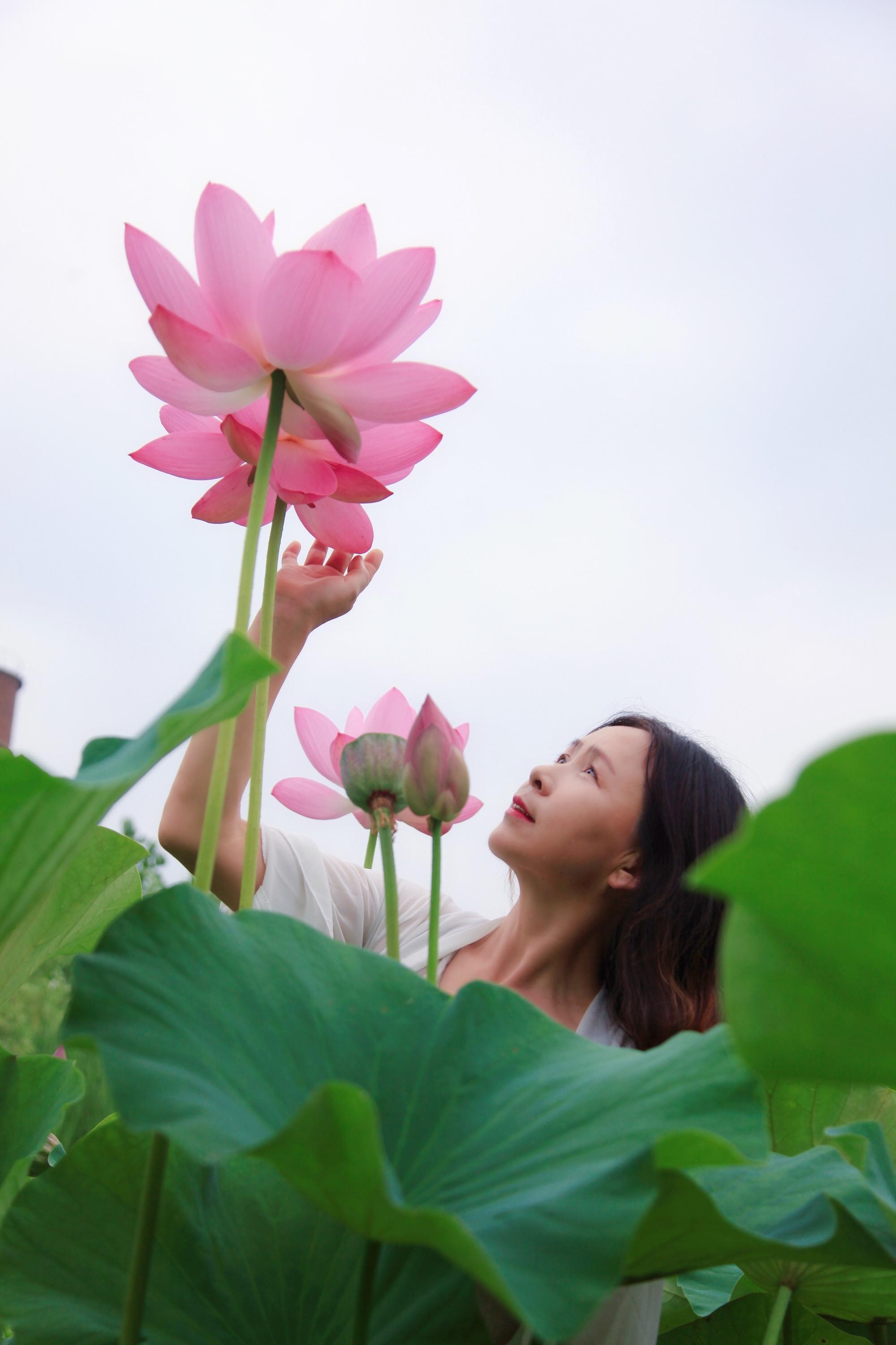 荷塘月色还是暗示迷局：女人发荷花图片的幽默解码