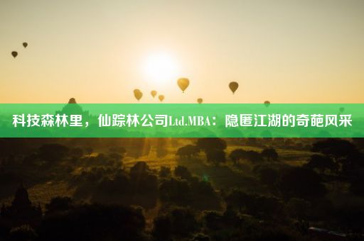 科技森林里，仙踪林公司Ltd.MBA：隐匿江湖的奇葩风采