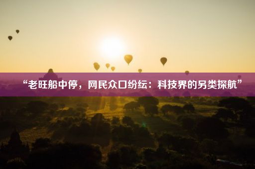 “老旺船中停，网民众口纷纭：科技界的另类探航”