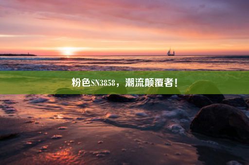 粉色SN3858，潮流颠覆者！