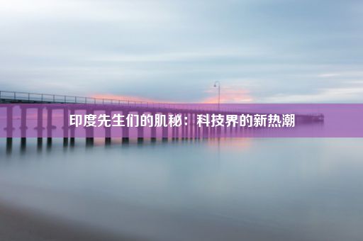 印度先生们的肌秘：科技界的新热潮