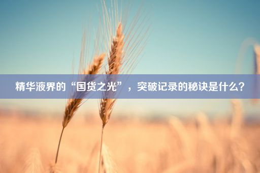 精华液界的“国货之光”，突破记录的秘诀是什么？