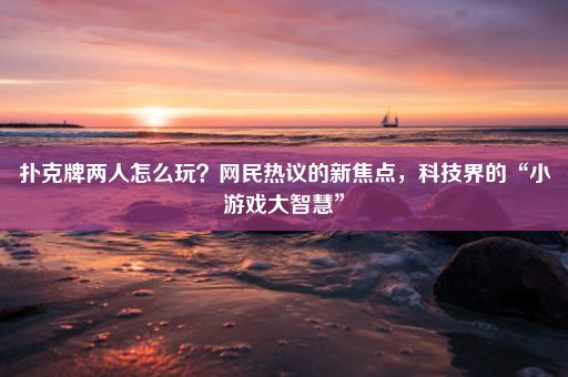 扑克牌两人怎么玩？网民热议的新焦点，科技界的“小游戏大智慧”