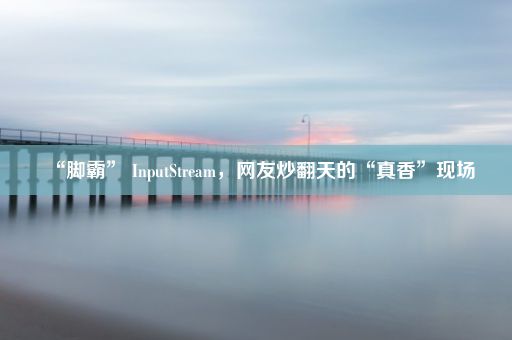 “脚霸” InputStream，网友炒翻天的“真香”现场