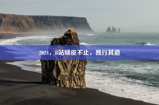 2024，B站顽皮不止，独行其道