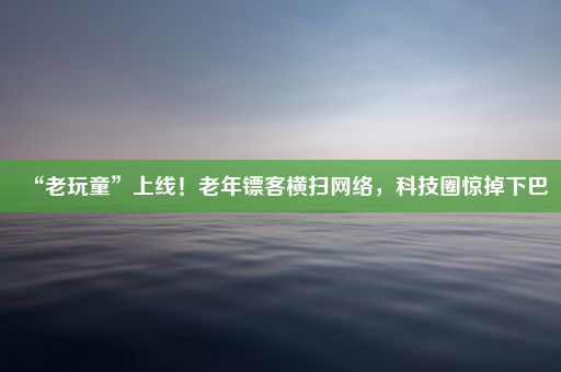 “老玩童”上线！老年镖客横扫网络，科技圈惊掉下巴